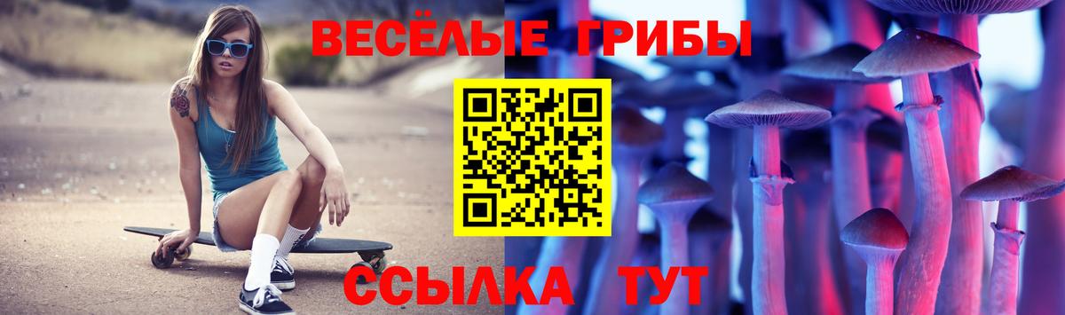 Псилоцибиновые грибы Psilocybe  Псилоцибиновые грибы мицелий  Вход с VPN  Сорочинск 